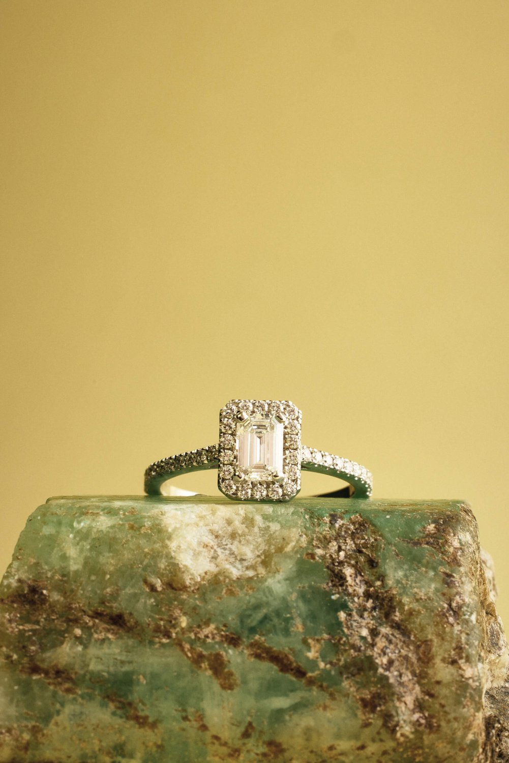 Collection 2024-4